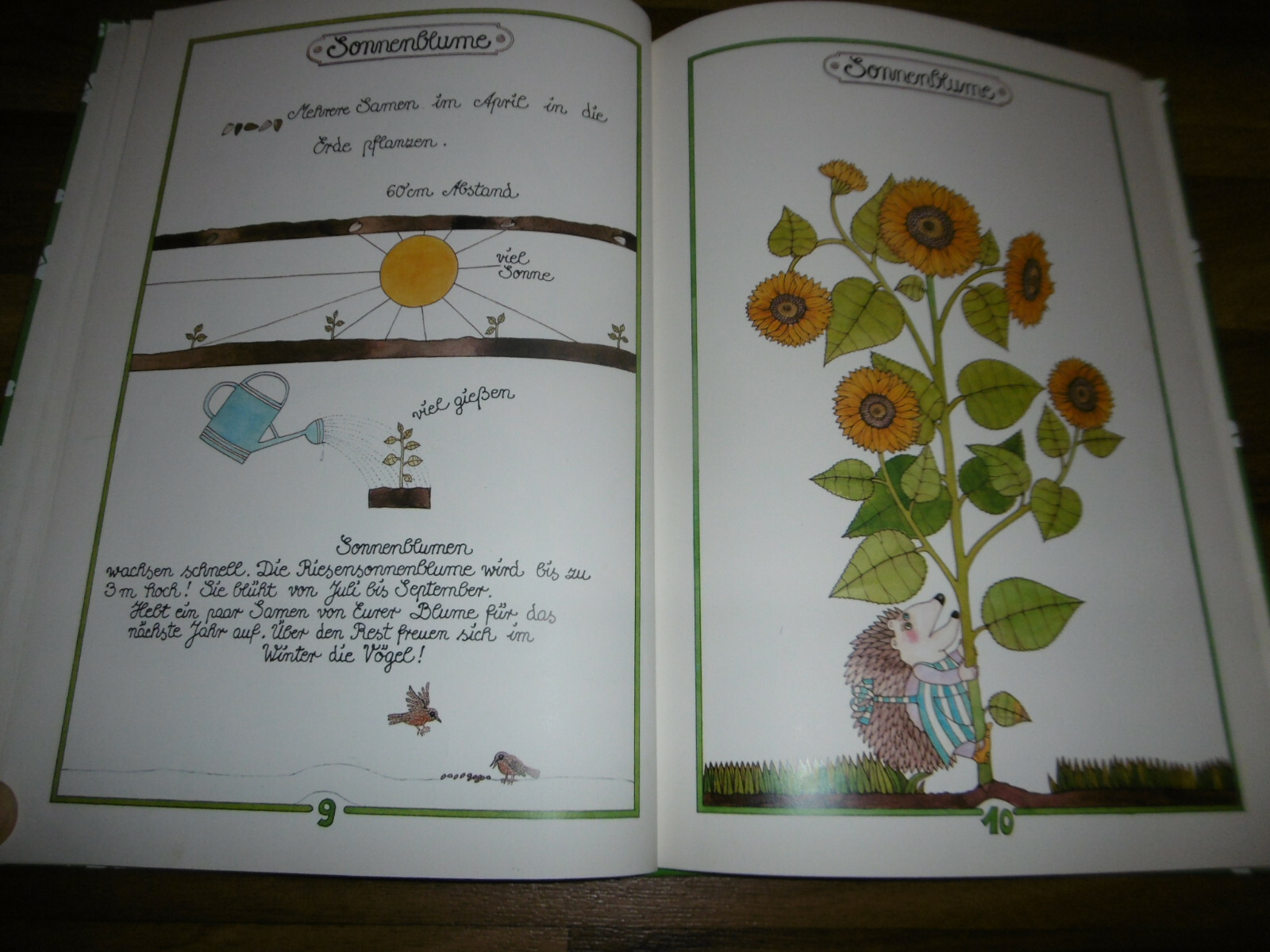 ANTJE VOGEL das GROßE BUCH für KLEINE GÄRTNER // 1. Aufl. 1978 eBay