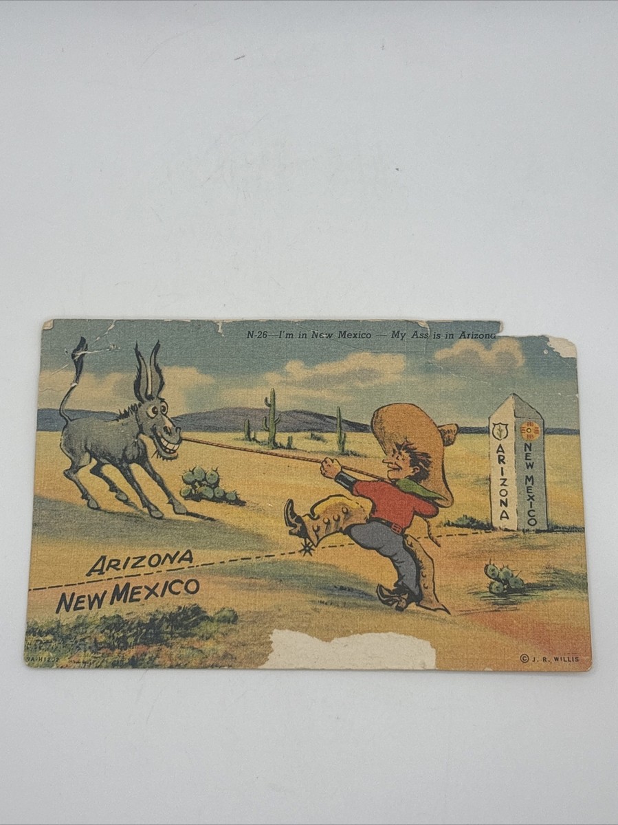 Vintage 1930's Comic Postcard I'm in New Mexico My Ass is in