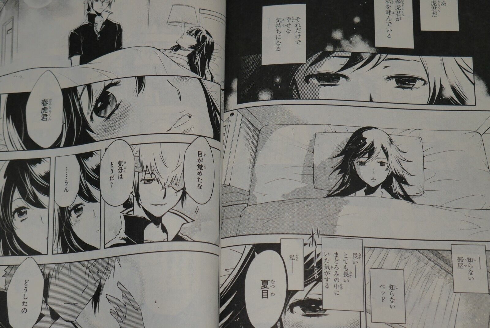 Tokyo Ravens Atsushi Suzumi [Volumes 1-15 Manga Complete Set/Complete]  Kouhei Azano Sumihei