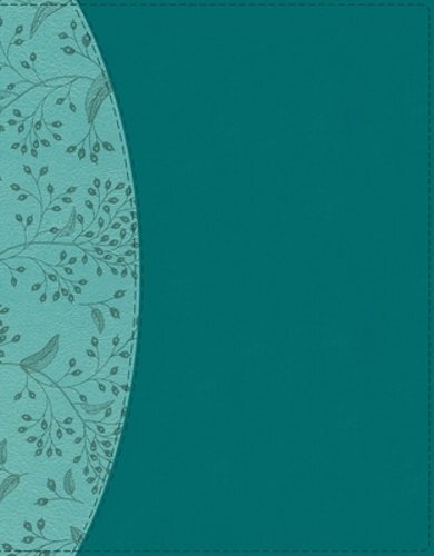 Niv Beautiful Word Bible Updated Edition with Peel Stick Tabs in Leathersoft