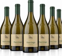 Pinot Grigio 2025 / Terlan / 6 Flaschen á 0,75 L / 26120025
