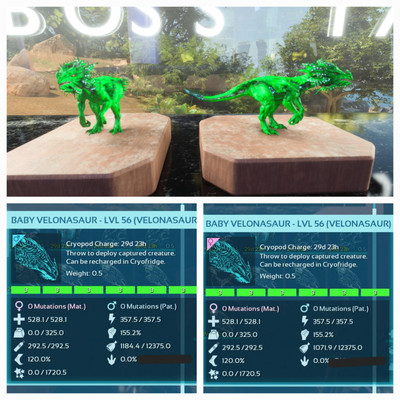ARK ASA PVE OFFICIAL PAIR BABY VELONASAUR GREEN ID03 EXTINCTION PC/XBOX/PS5