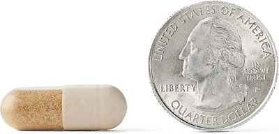 plus Brain Supplement for Memory and Focus Clinically Tested Nootropics for C...