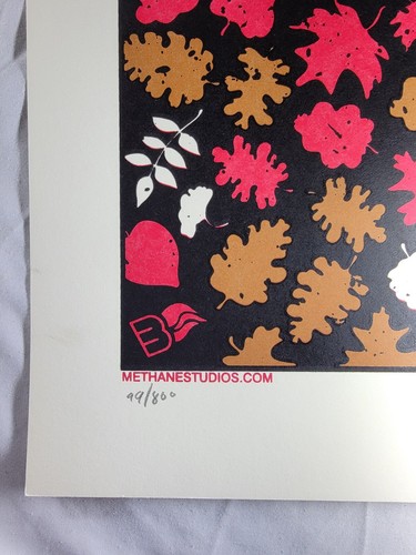 Dave Matthews Band Tour Concert Poster - RED IZOD, NJ 11/13/07 - 99/800 DMB - Picture 5 of 8