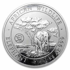 2012 Somalia 1 kilo Silver African Elephant (Dragon Privy)