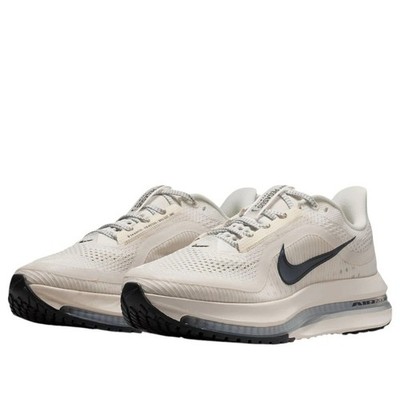 Nike Pegasus Premium Sail Metallic Silver HQ2593-106 Women 11.0W