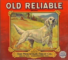 *Original* OLD RELIABLE Pointer Dog Colorado Apple Crate Label NOT A COPY!!