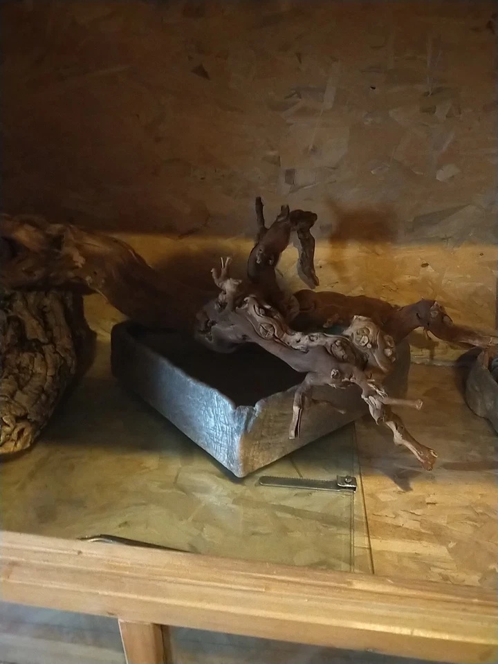 Un Vivarium - Photo 3/4