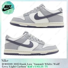 Nike Dunk Low Summit White / Wolf Grey / Light Carbon FB9109-101 Kid's US3.5Y-7Y