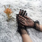 Bild 9 von 39