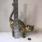 Foto 11 di 12