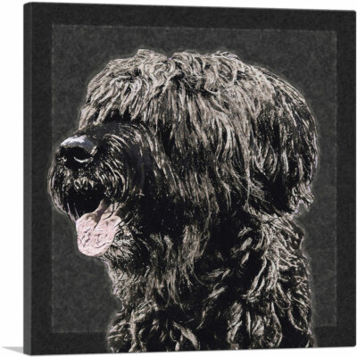 ARTCANVAS Briard Dog Breed Black White Canvas Art Print