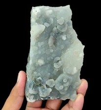 375g Superb Natural Black Coral Chalcedony On Base Matrix Mineral Specimen