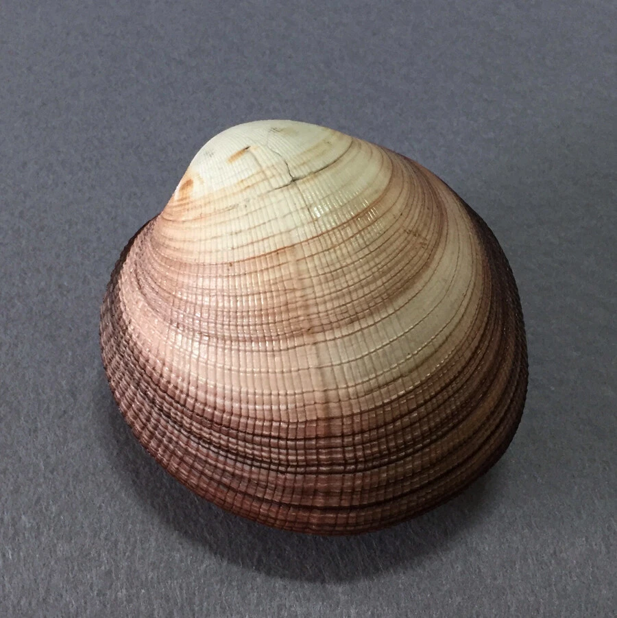 Picture 3 of 3