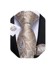  Mens Tie Set Silk Solid Paisley Necktie and Pocket Square Cufflinks Beige 7290
