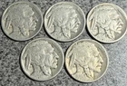 LOT OF 5 - 1924 5 CENT INDIAN HEAD BUFFALO NICKEL