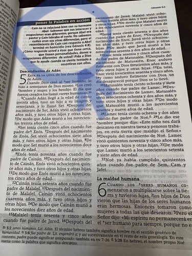 La Biblia de la vida diaria, El poder de la palabra de Dios. en Español, Spanish - Picture 5 of 6