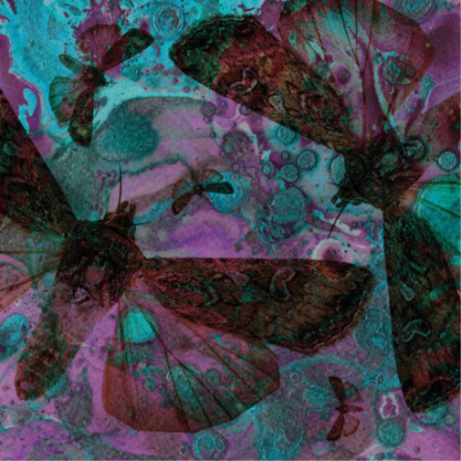 The Gentle Good Y Gwyfyn (CD) Album