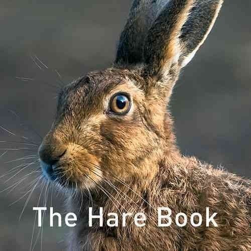 The Hare Book by The Hare Preservation Trust (Hardcover, 2015)