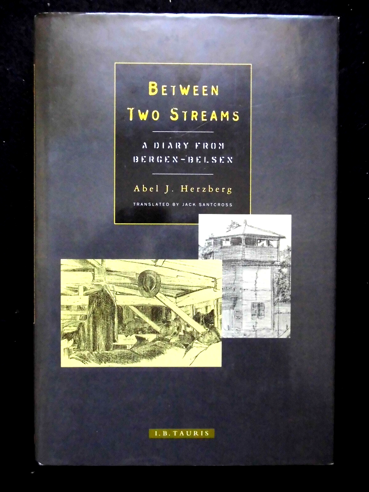 Between Two Streams: Diary from Bergen-Belsen (1997) Abel J Herzberg - Holocaust