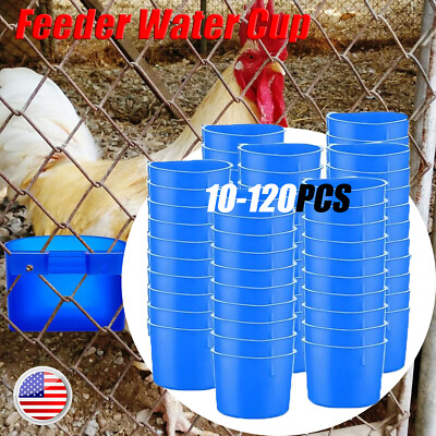 Poultry Chicken Coop Feeder Water Cup Bird Cage Treats Cups with Hook for Pigeon