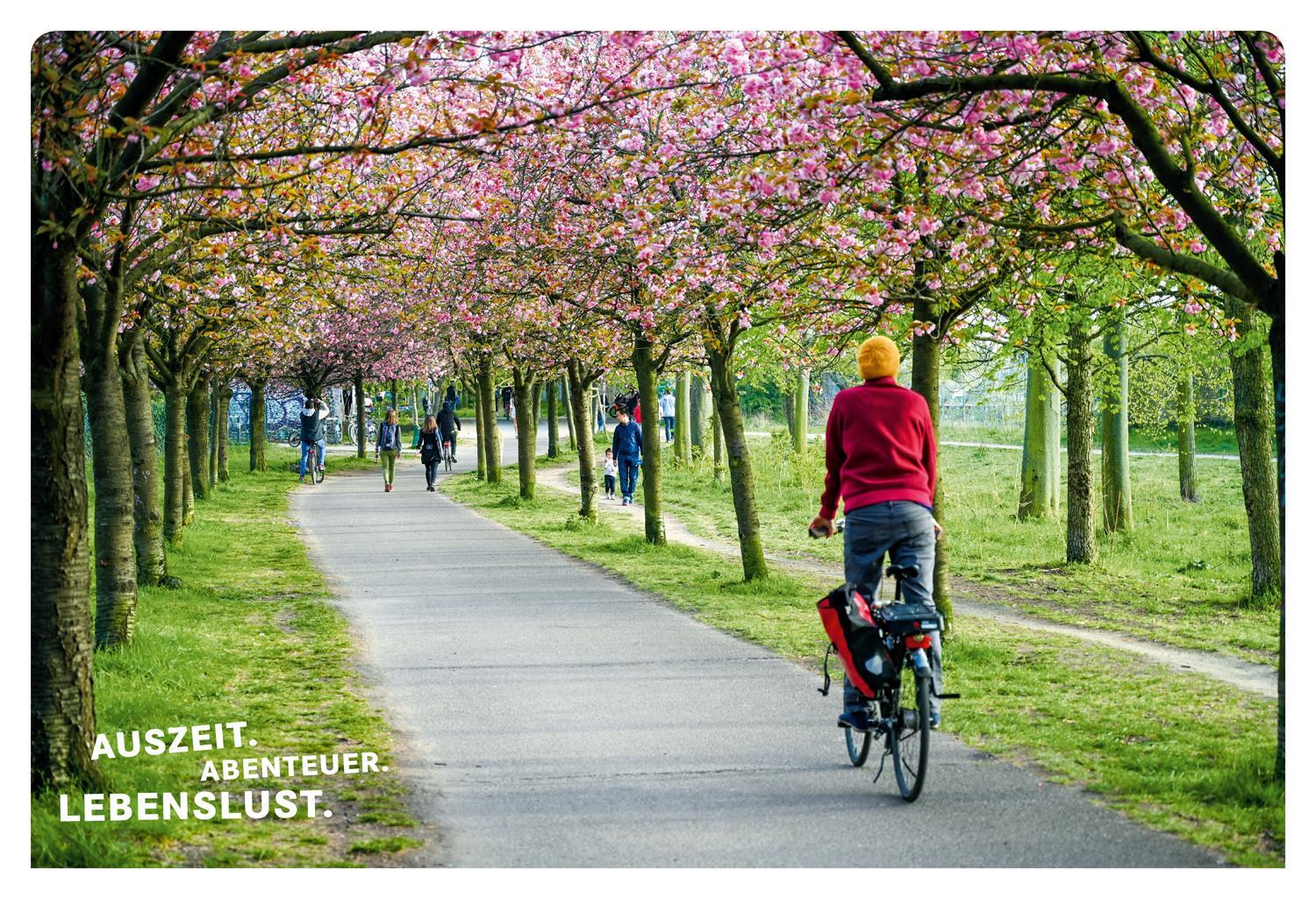 Thumbnail - 52 Kleine & Große Feierabend-eskapaden In Berlin Clemens Sehi
