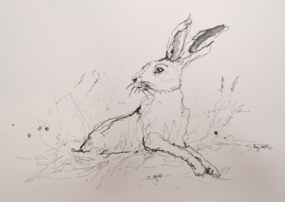 Original HASE A4 Größe Scribble Ink Sketch #35 (2025) - von Ray Statter