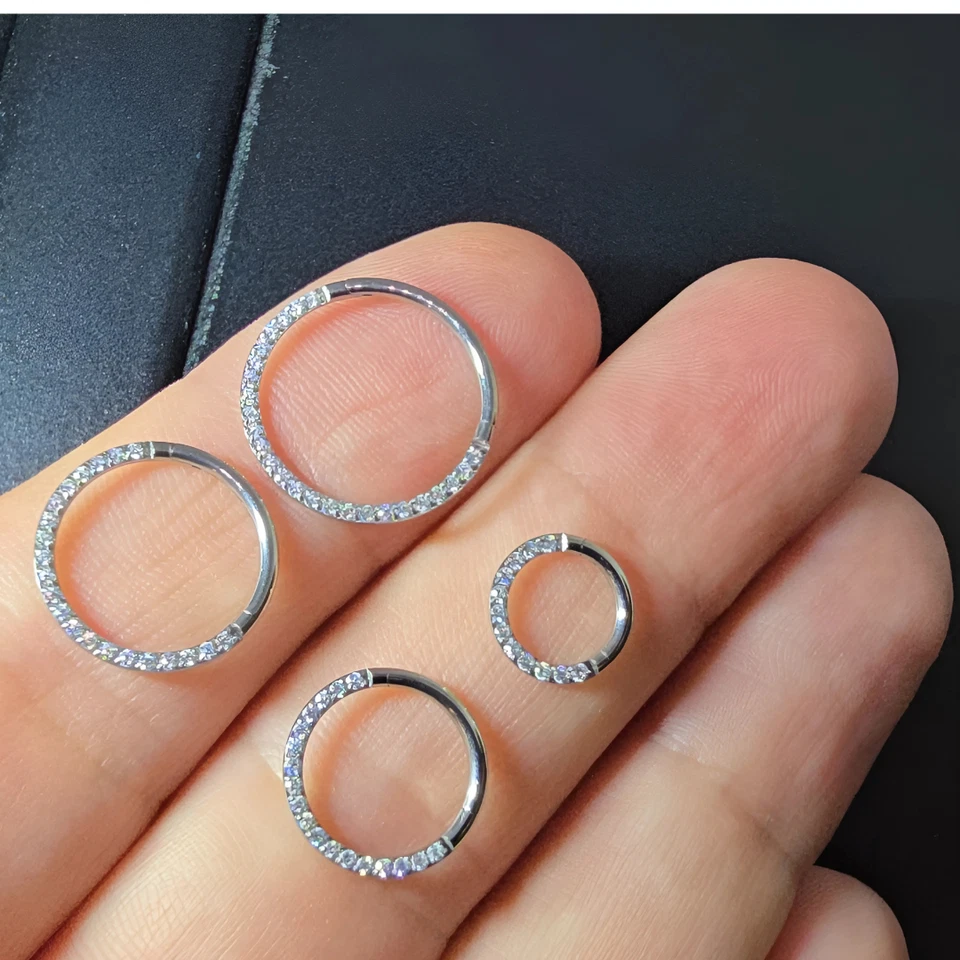 Piercing Titan Segment Ring Nasenpiercing Septum Clicker Ohrpiercing Nasenring - Bild 3 von 4