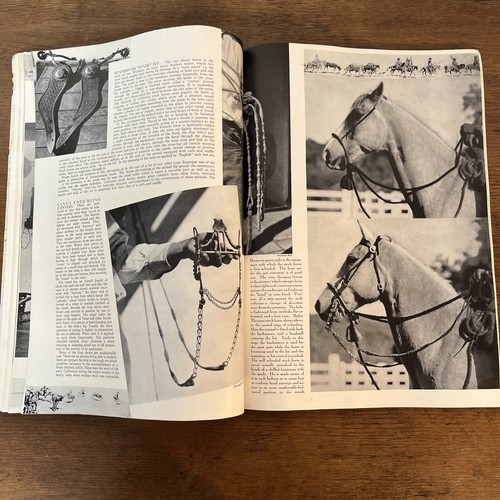 Vintage Country Life magazine April 1937 - Foto 12 di 16
