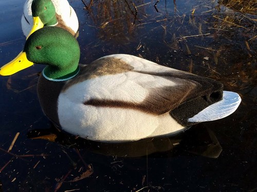 Drake Mallard Full Body Decoy Flocking Kit - Picture 3 of 5