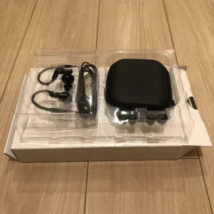 SONY MDR-EX800ST Canal Type In-ear Headphones INNER EAR MONITOR USED box japan