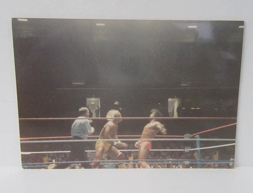 WWF Macho Man & Hulk Hogan Original Type 1 WWF WWE Wrestling Ringside 1988/89