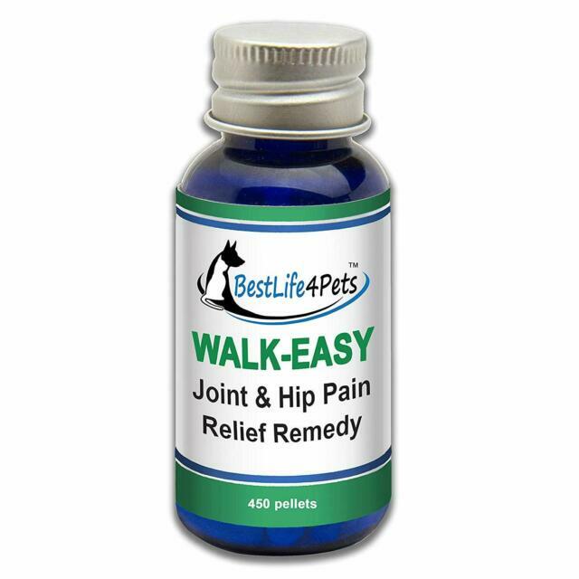 walk easy for dogs