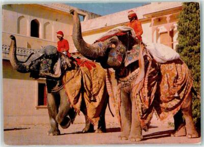 39342582 - Elephant Ride Volkstypen Tracht Elefant Indien