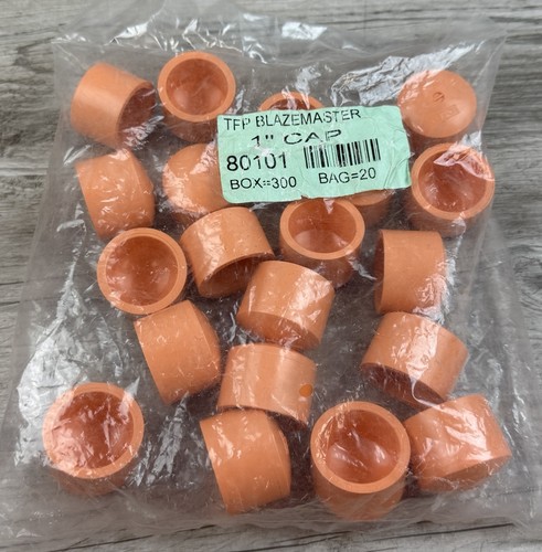 20 TFP 048115 CPVC Pipe End Cap SOC 1" Blazemaster New Sealed Bag
