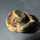 Dug Civil War Collided Fired Bullet Rare Impact PH 💥 💣 🇺🇸 Bullets