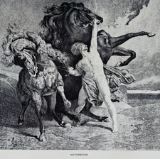 1902 Automedon Regnault Typogravure Homer's Iliad Charioteer Achilles DWP8B