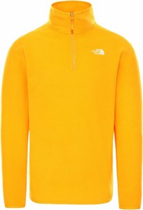 north face men's 100 glacier pullover