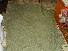 Light Green Leather Hide Full Hide Upholstery Weight 65 Square Feet