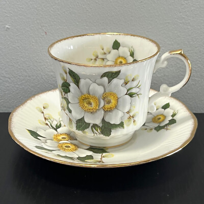 Queens Rosina Duchess White Begonia Flowers Teacup & Saucer English Bone China