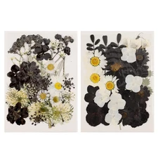 60 Pieces Black Dried Pressed Flowers & Leaves for Crafts, Resin Mold, Scrapb...