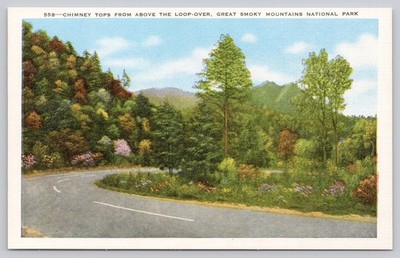 Chimney Tops Loop-Over Great Smoky Mountains National Park Postcard