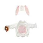 Easter 2026 Bunny Costume Designed for Porch Goose Decoration Outdoor Use
