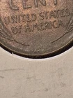 2 Beautiful High Grade 1909 VDB Lincoln Wheat Penny Pair!
