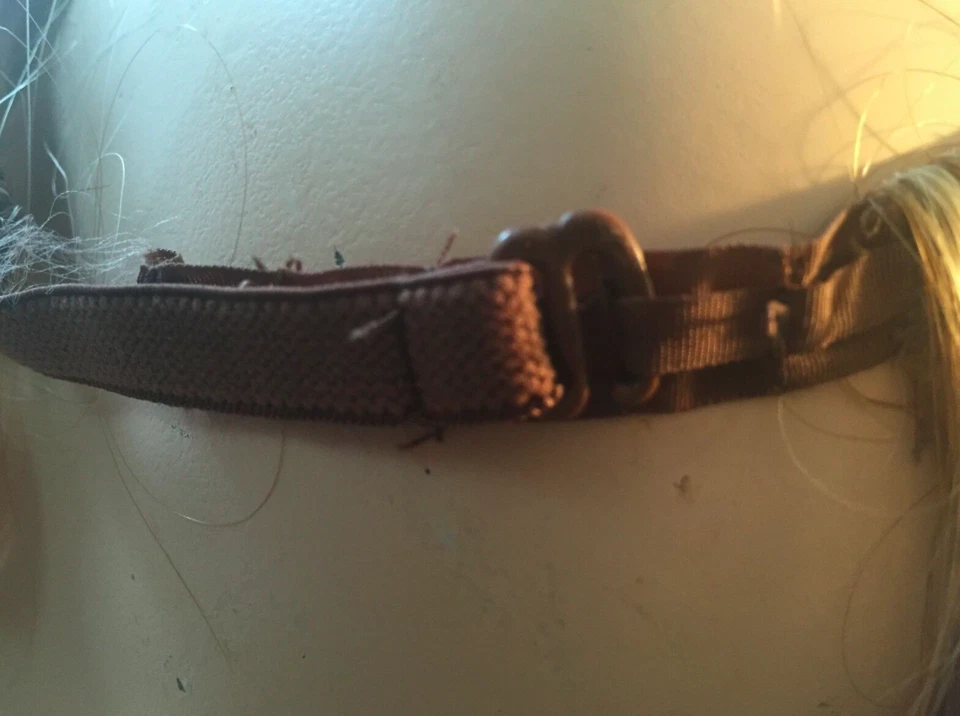 TEORÍA FOREVER YOUNG BANG (AJUSTABLE) Foto 3 de 4