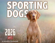 2026 Sporting Dogs Wall Calendar 16-Month X-Large Size 14x22 | FREE SHIPPING