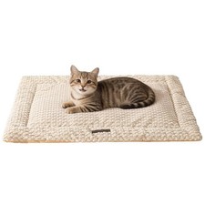 Flat Cat Bed Mat Premium Plush NonSlip 1.2 Inch Thick Kneading Milk 15x23 Inch
