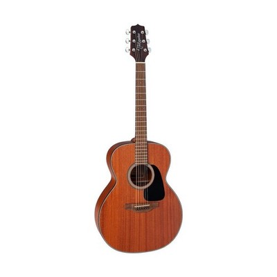 Takamine GD11M NEX Acoustic Guitar Mahogany Body (Natural Satin)