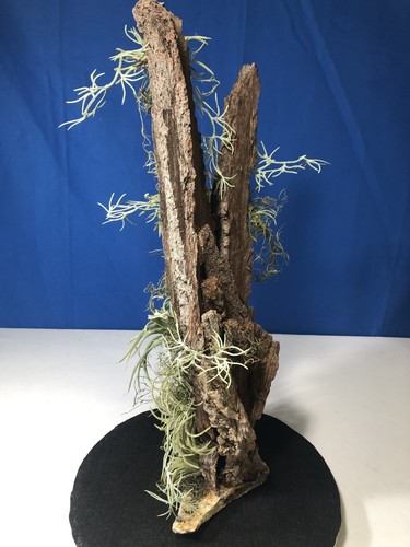 Artificial Succulent Air Plant Home Office Mounted on Real Wood Bark and Stone - Picture 3 of 22