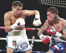 Gennady Golovkin Boxing  4x6 Picture Celebrity Print